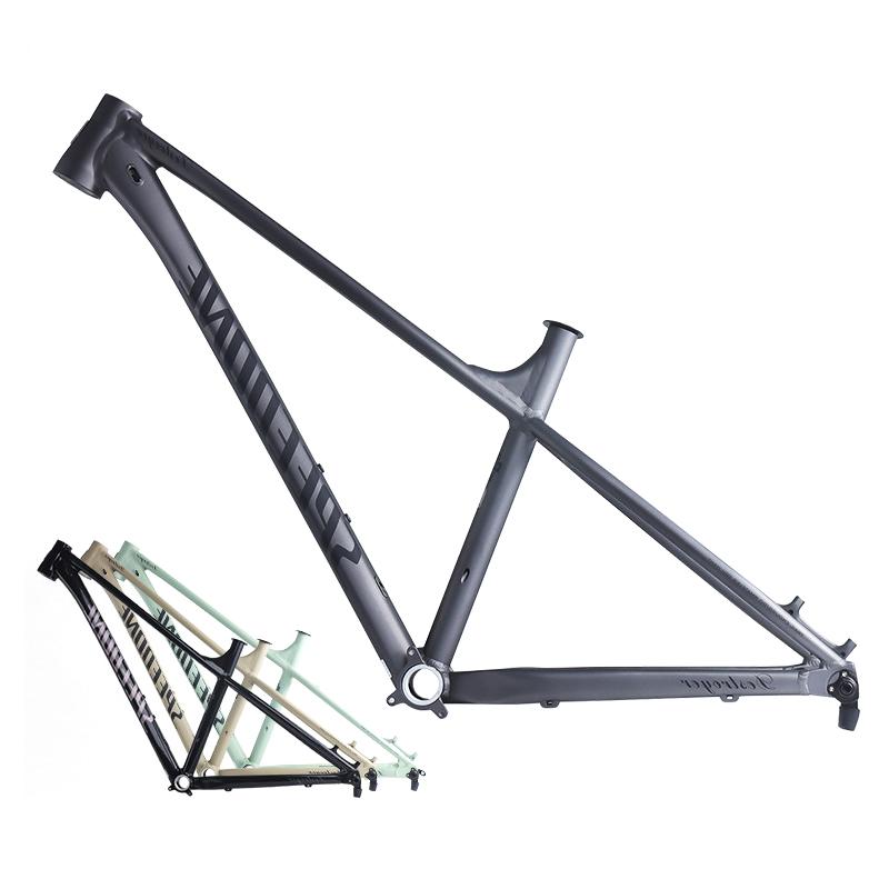 Mountain Biking Competition - Telaio per Mountain Bike da Competizione